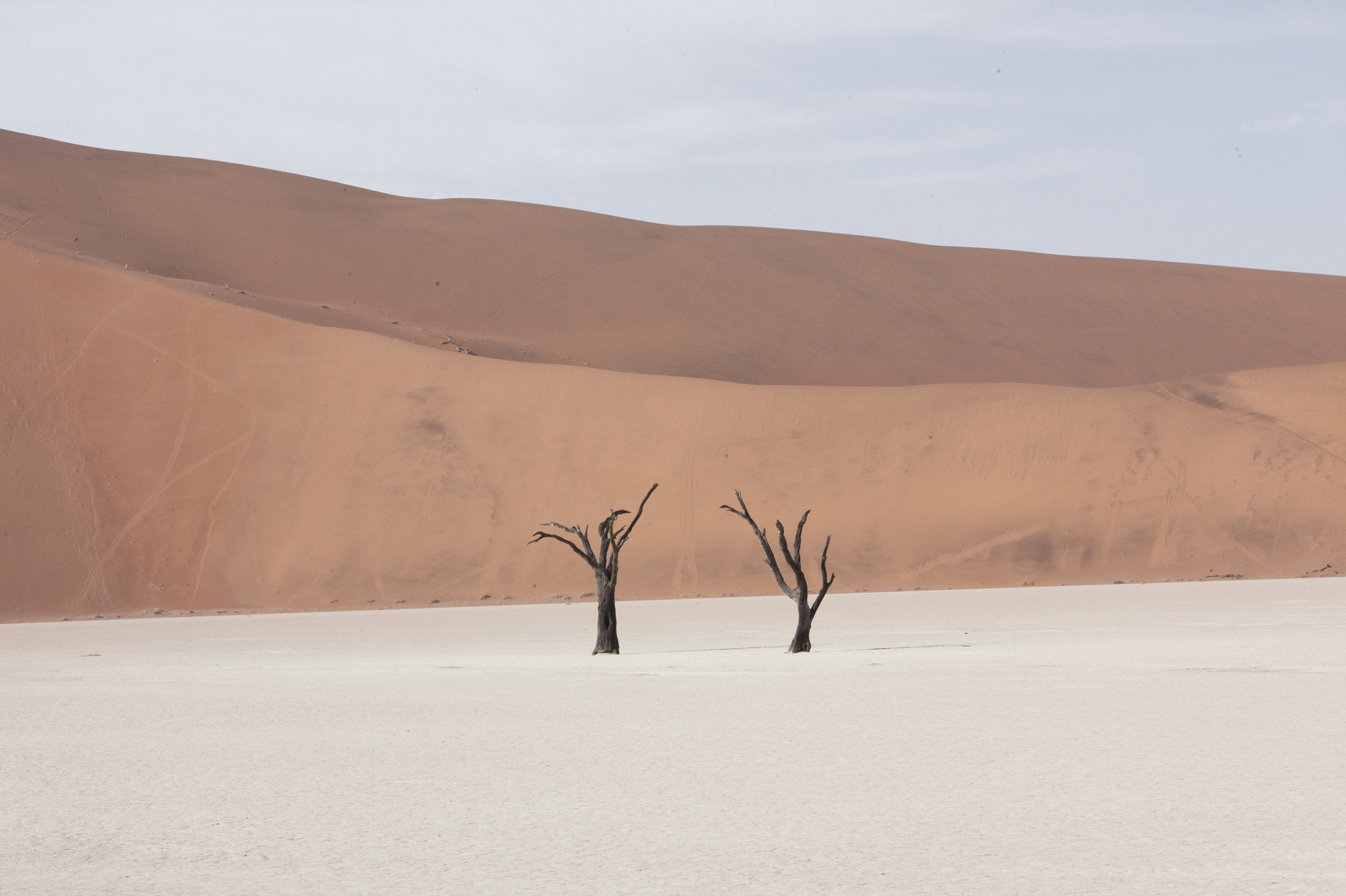 Самая сухая пустыня в африке. Мертвая Долина в пустыне Намиб. Пустыня Намиб Долина смерти. Пустыня Намиб в Африке. Климат пустыни Намиб.