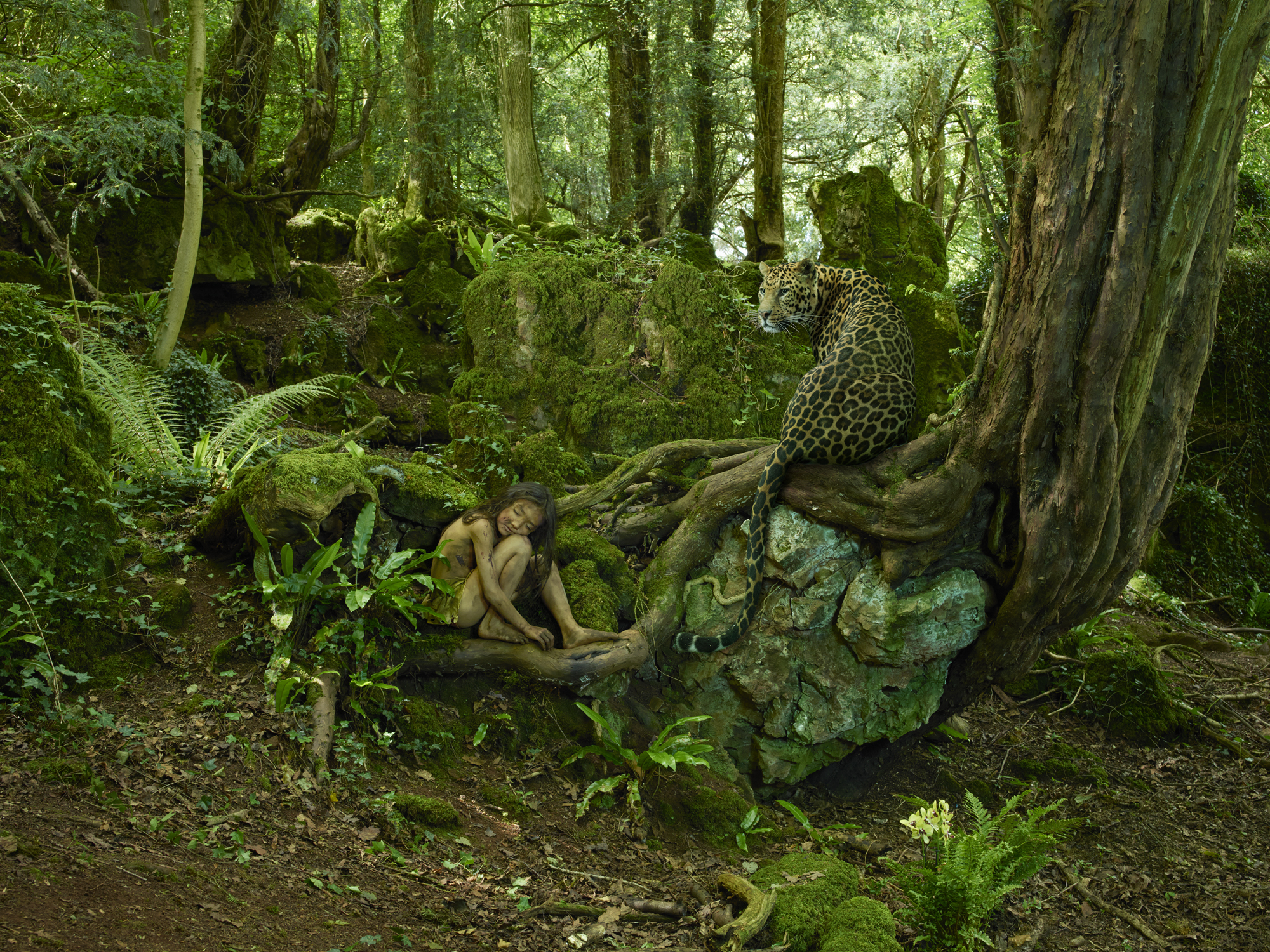 Джунгли внутри тебя. Мальчик леопард Индия 1912. Грин таинственный лес. Джунгли реальные.