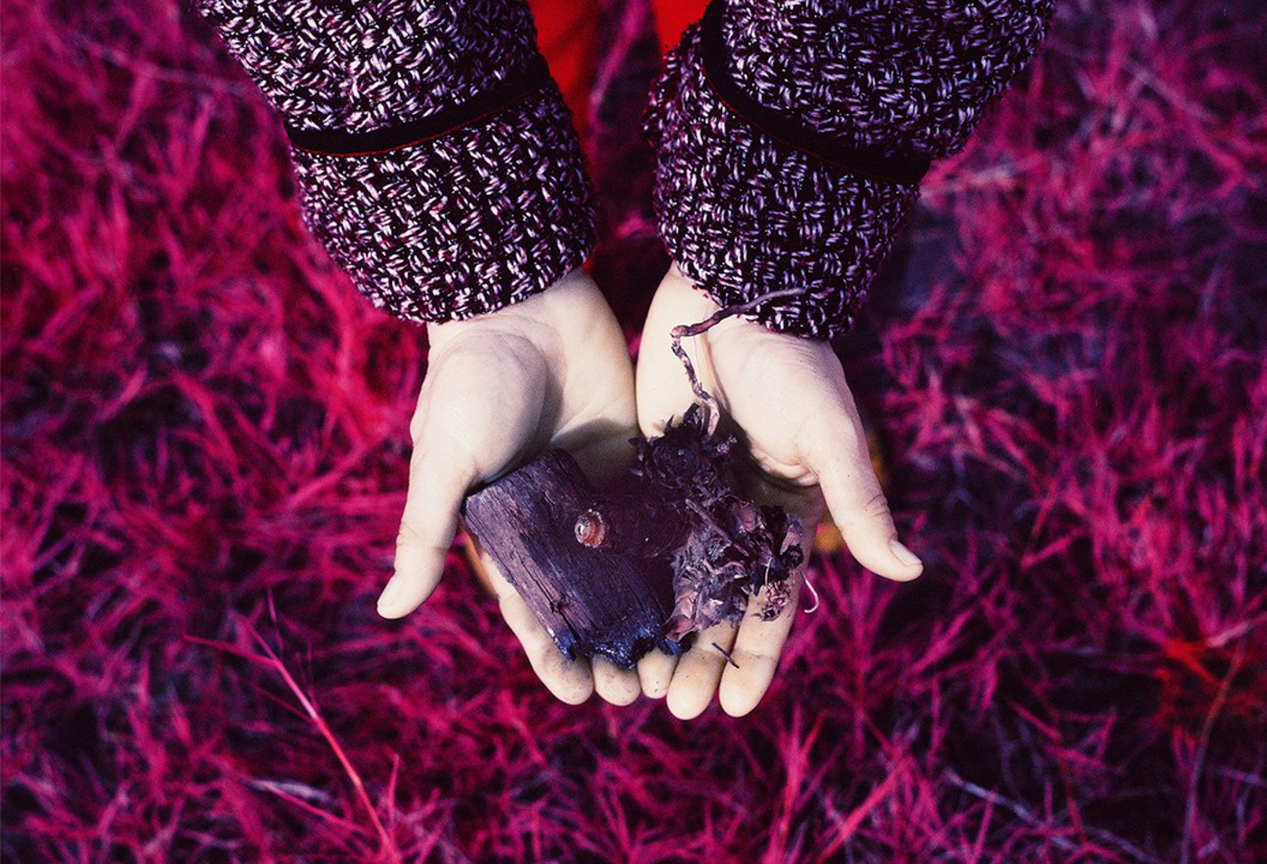 © Alejandra Aragón, Mexico, Shortlist, Latin America Professional Award, 2022 Sony World Photography Awards