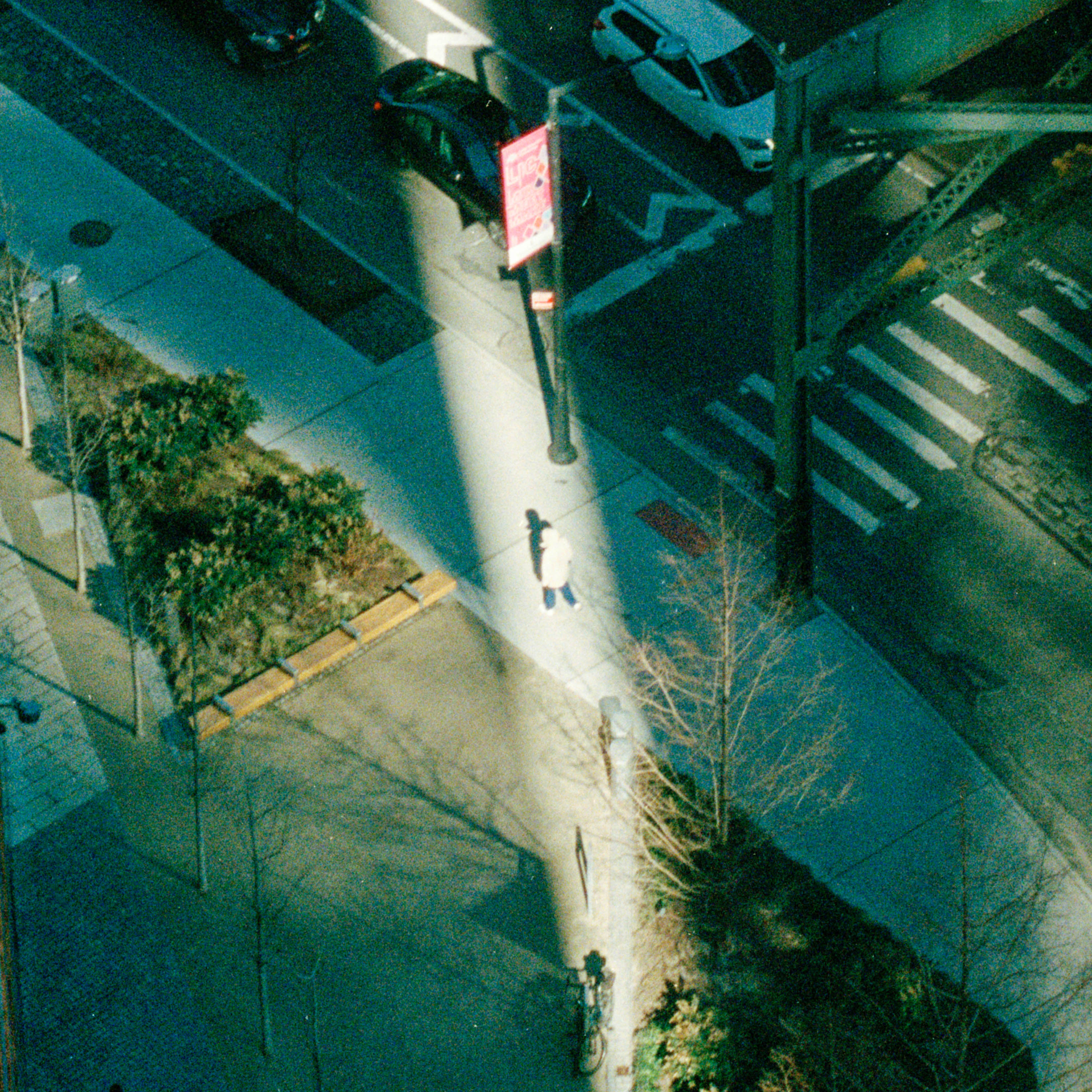  © Kaiyu Dong, China Mainland, Finalist, Student competition, In a Changing World, 2023 Sony World Photography Awards