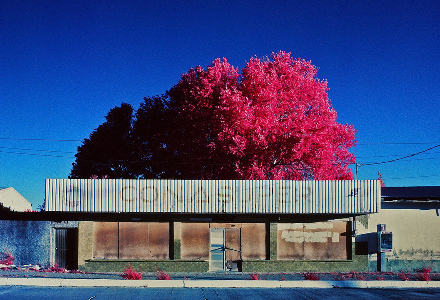 © Alejandra Aragón, Mexico, Professional competition, Creative, 2022 Sony World Photography Awards