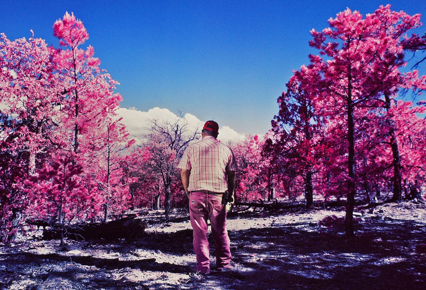 © Alejandra Aragón, Mexico, Shortlist, Latin America Professional Award, 2022 Sony World Photography Awards