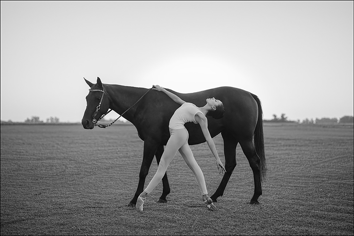 Танец лошадки. Фотосессия с лошадьми. Балерина и лошадь. Фотосессия лошадь и балерина. Позы лошадей.