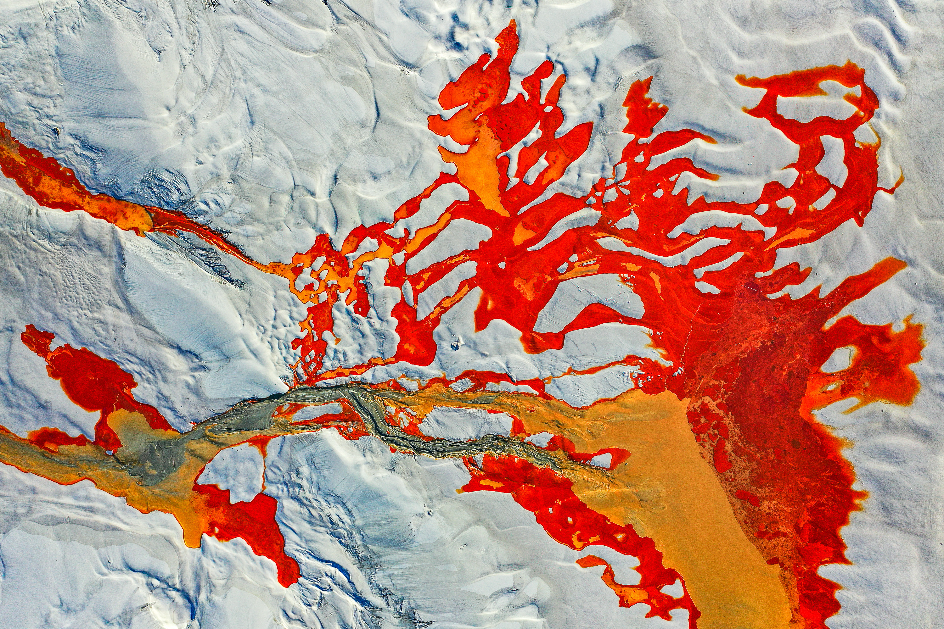 Disturbed Landscape 06