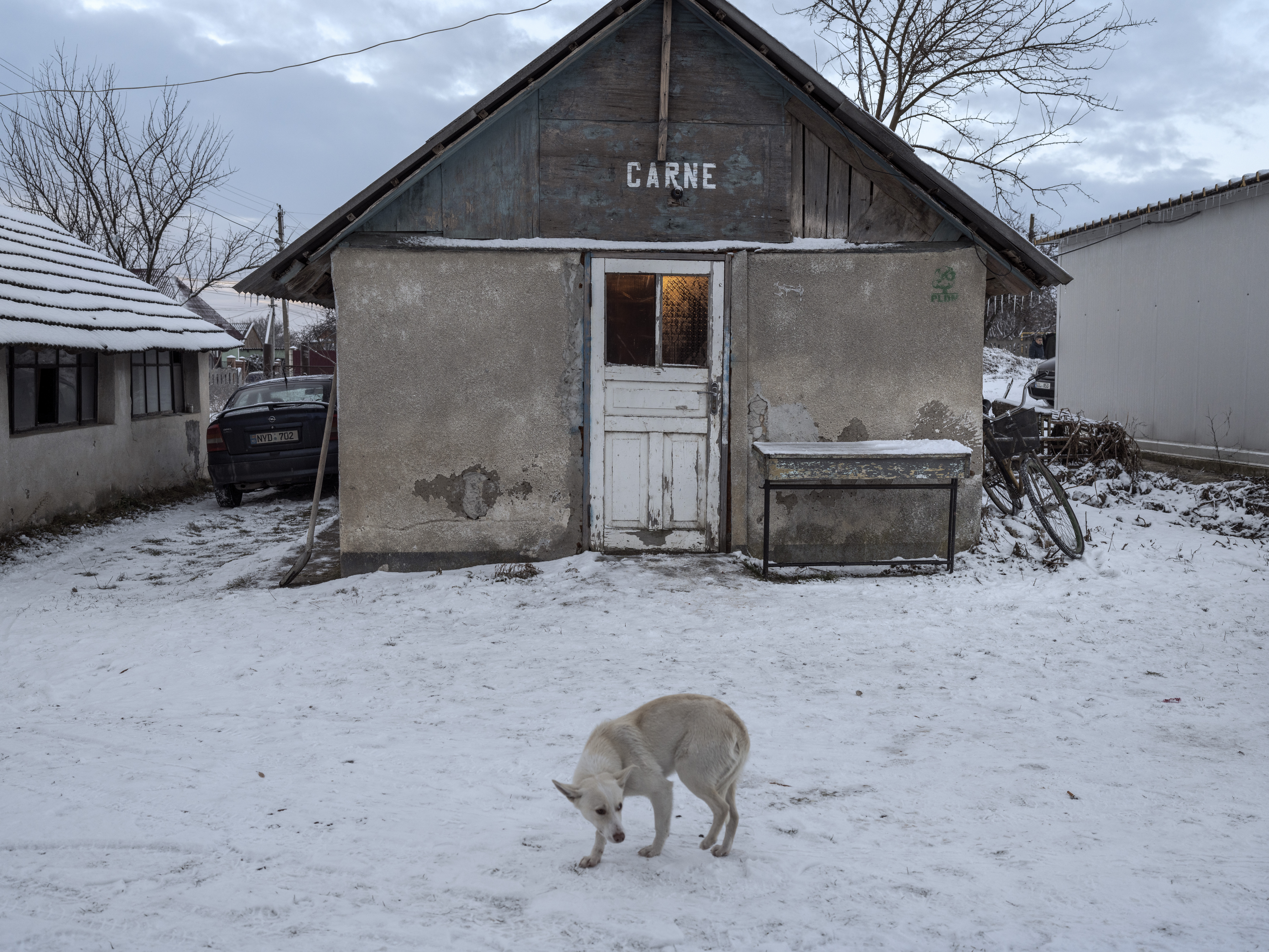 © Alessandro Grassani