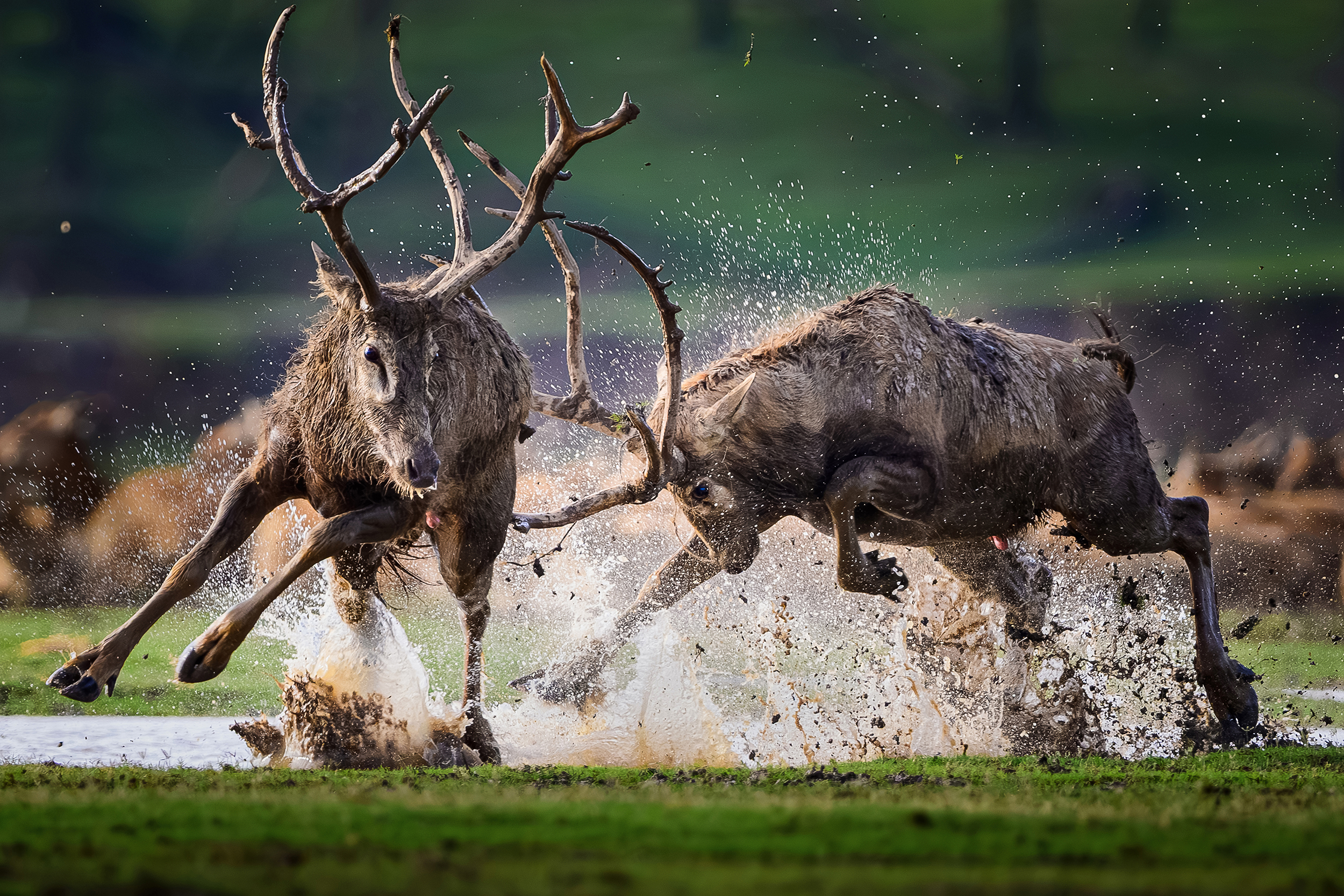 © Huajin Sun, China Mainland, entry, Single Image competition, Motion, Sony World Photography Awards 2027