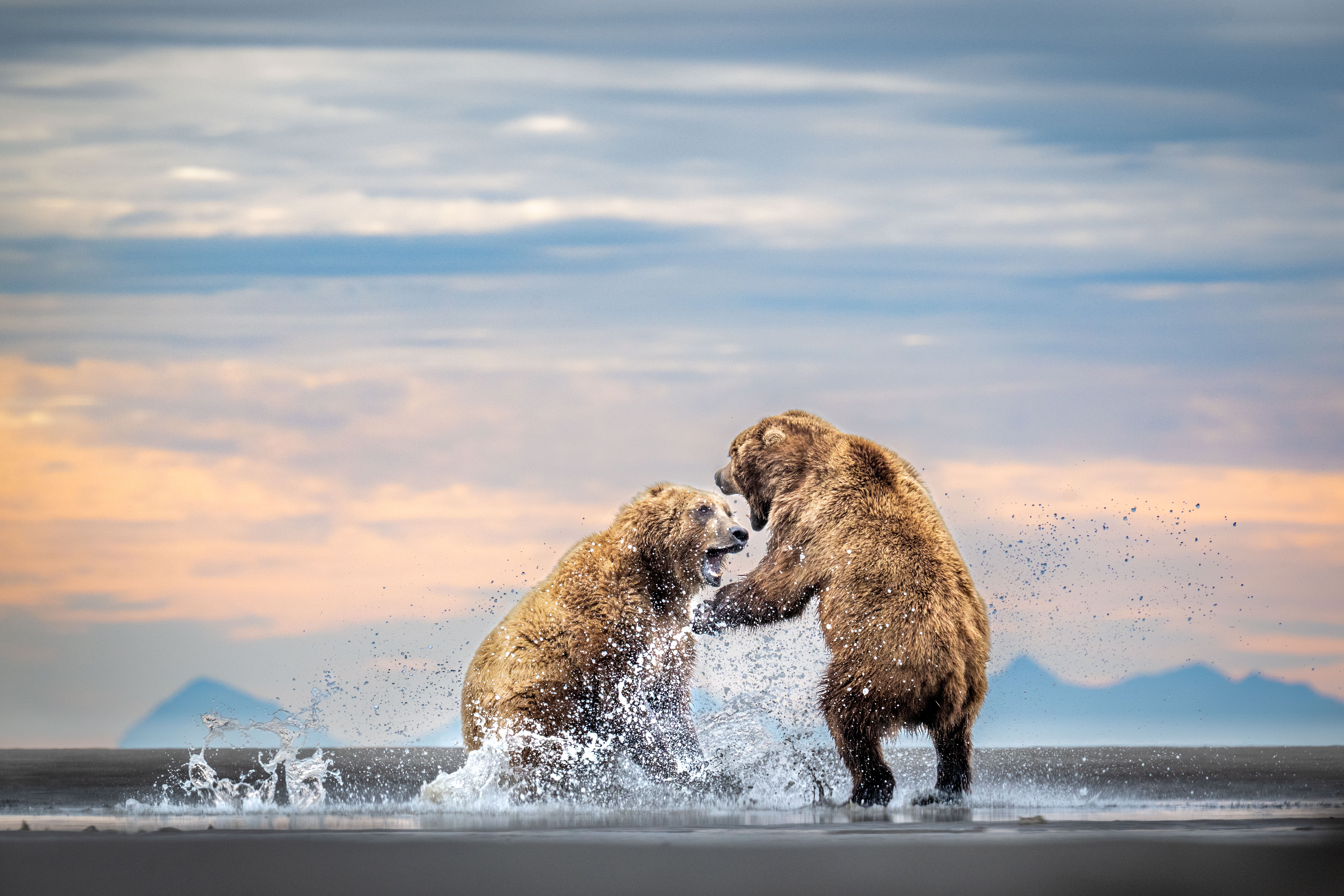 © Harry Skeggs, United Kingdom, entry, Single Image competition, Natural World & Wildlife, Sony World Photography Awards 2027