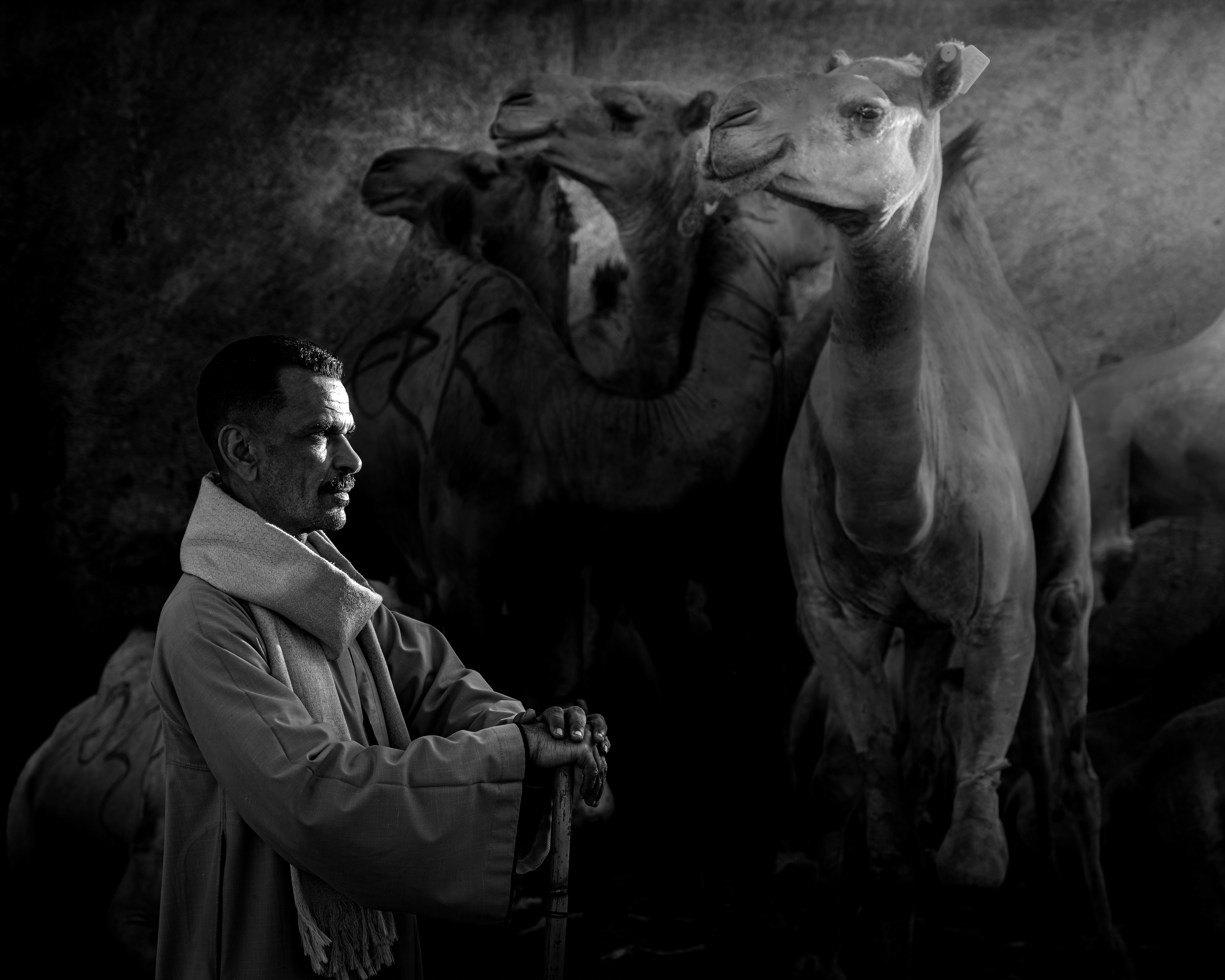 © Yasser Alaa Mobarak, Egypt, entry, Single Image competition, Lifestyle, Sony World Photography Awards 2027
