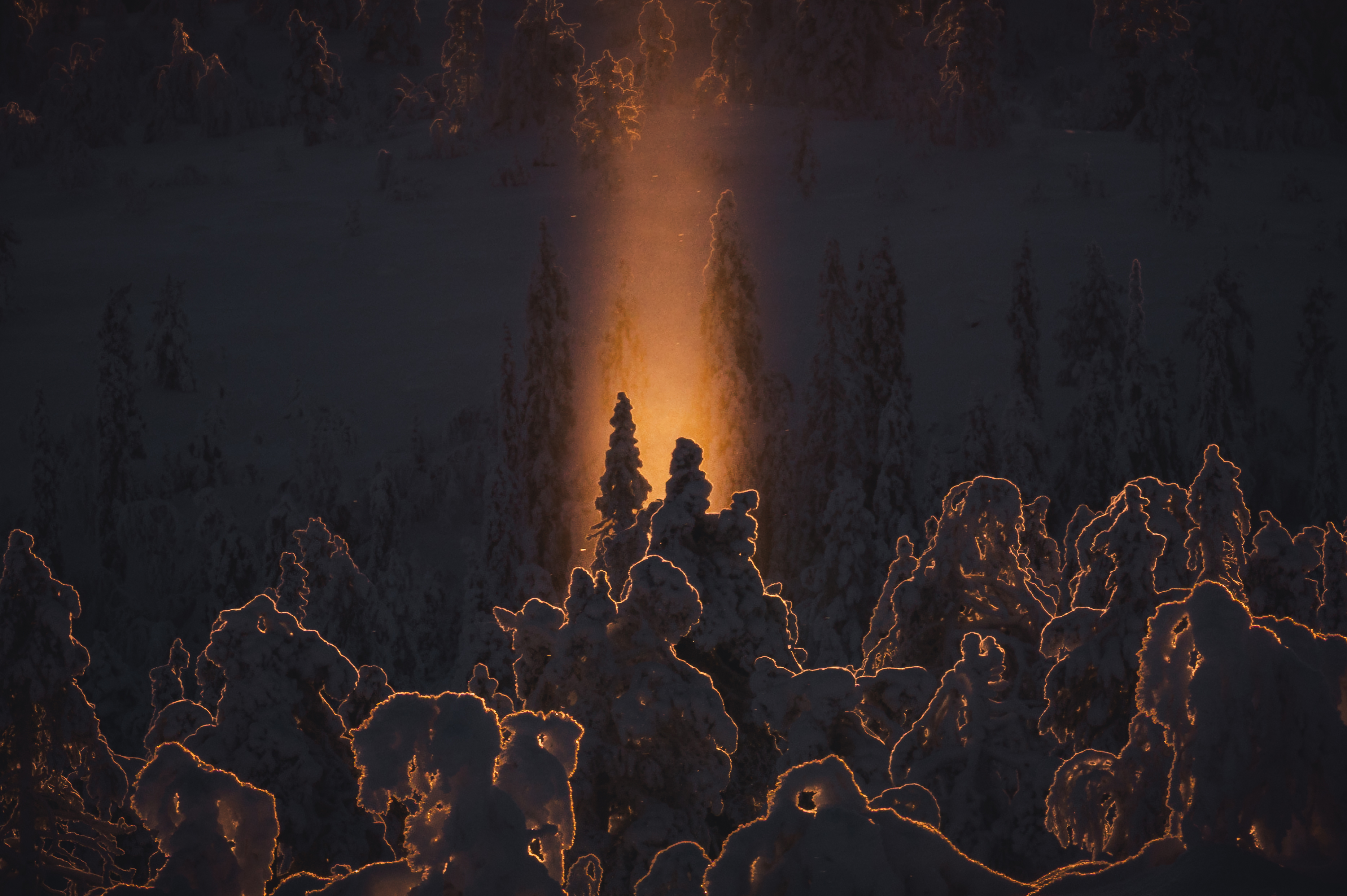 © Frédéric Guitton, France, entry, Single Image competition, Creative, Sony World Photography Awards 2027