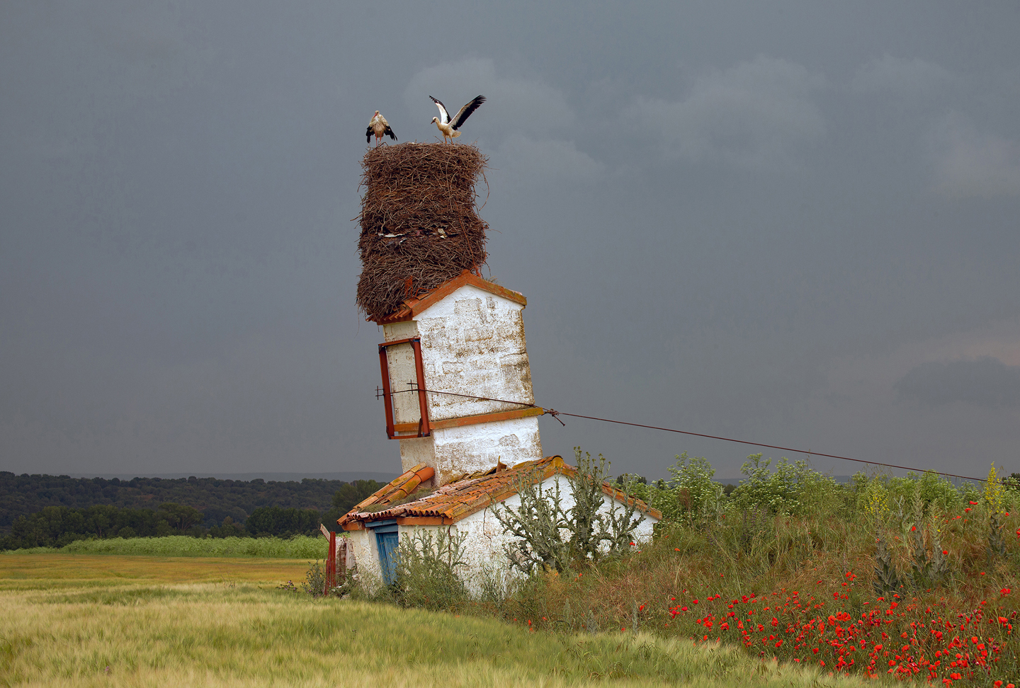 © Alex Sanz, Spain, entry, Open Competition, Travel, 2026 Sony World Photography Awards