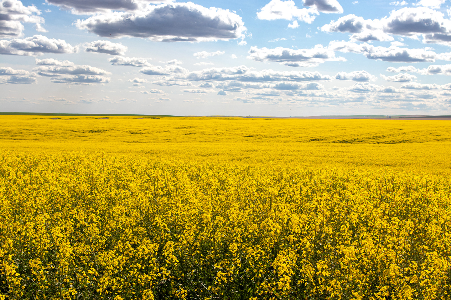 © Blake Schroer, United States, entry, Open Competition, Landscape, 2026 Sony World Photography Awards