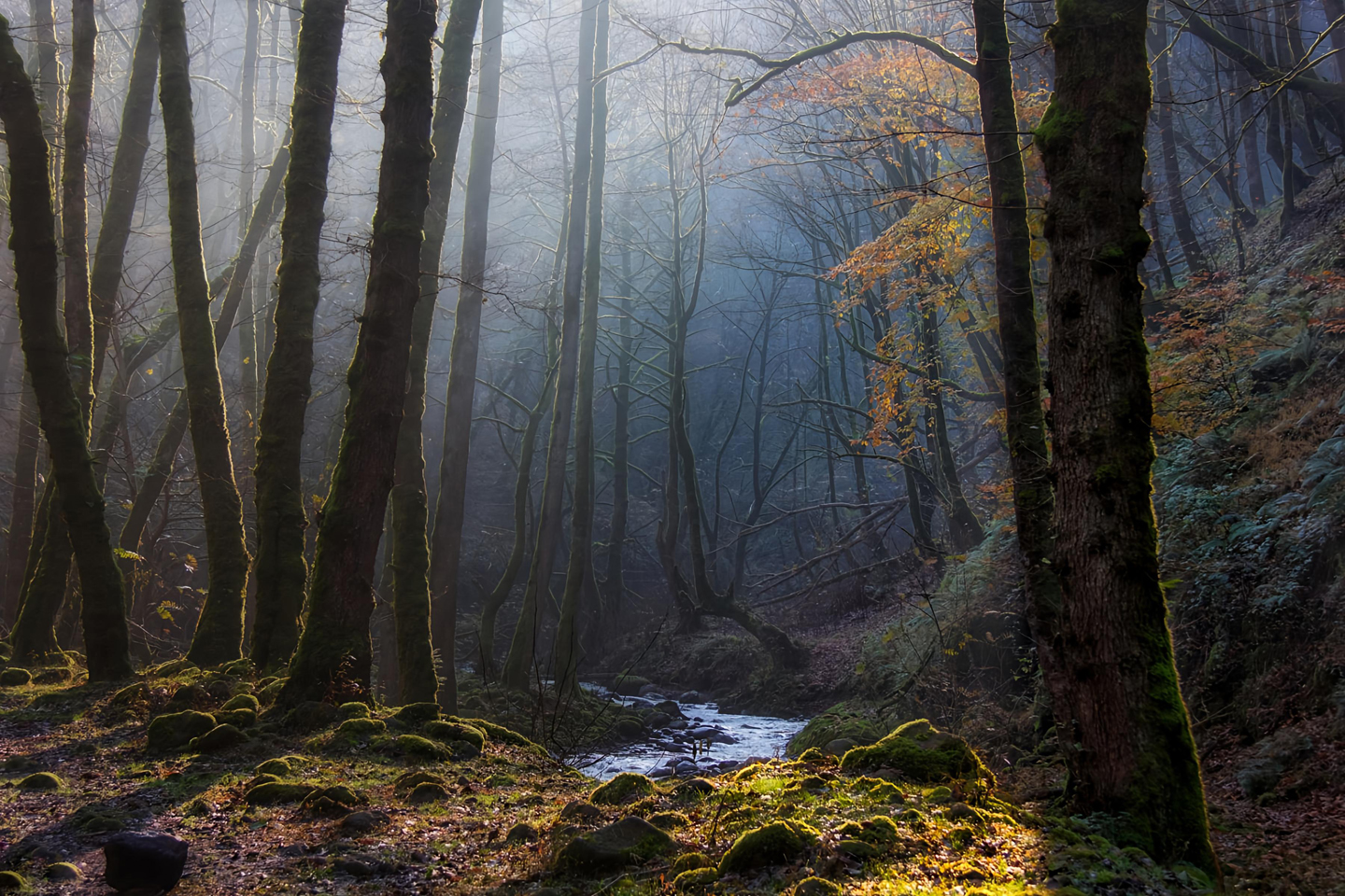 © Maghsoud Moradi, Iran, Islamic Republic Of, entry, Open Competition, Landscape, 2026 Sony World Photography Awards