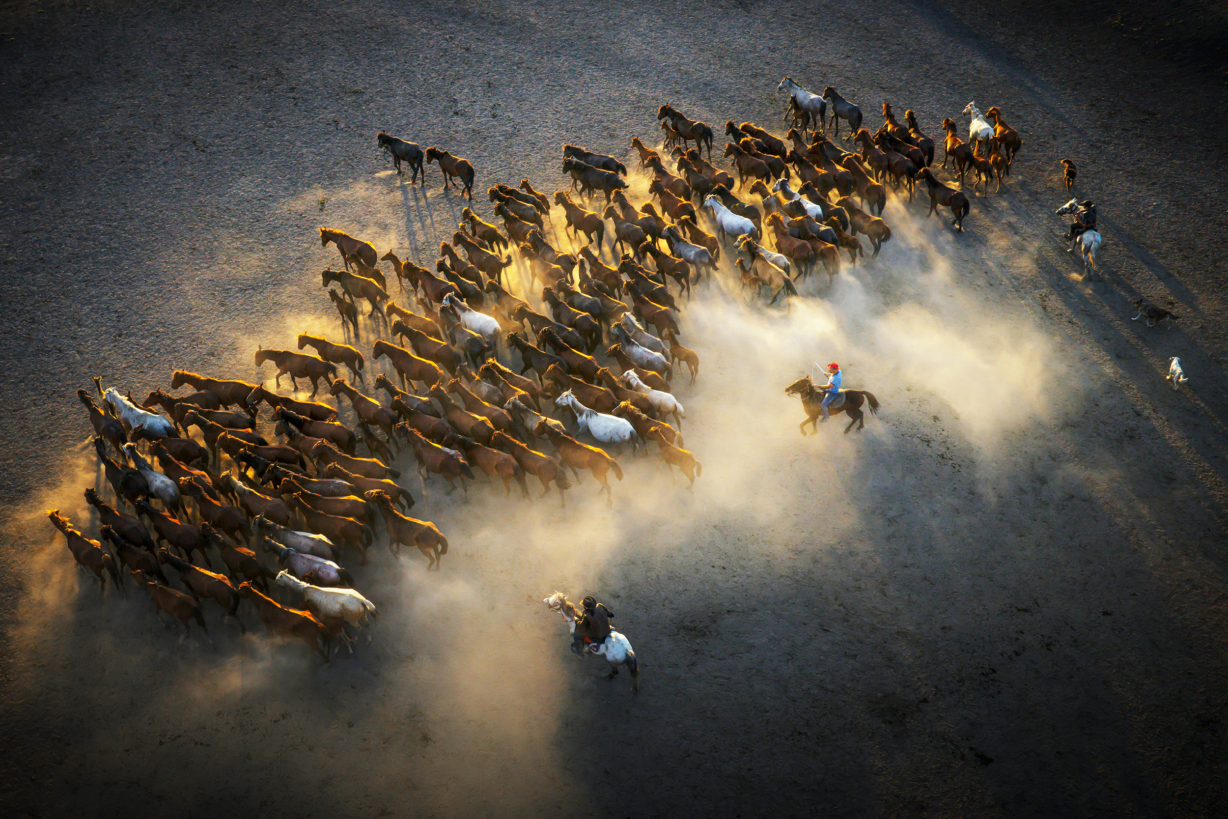 © F.Dilek Yurdakul, Türkiye, entry, Single Image competition, Motion, Sony World Photography Awards 2027