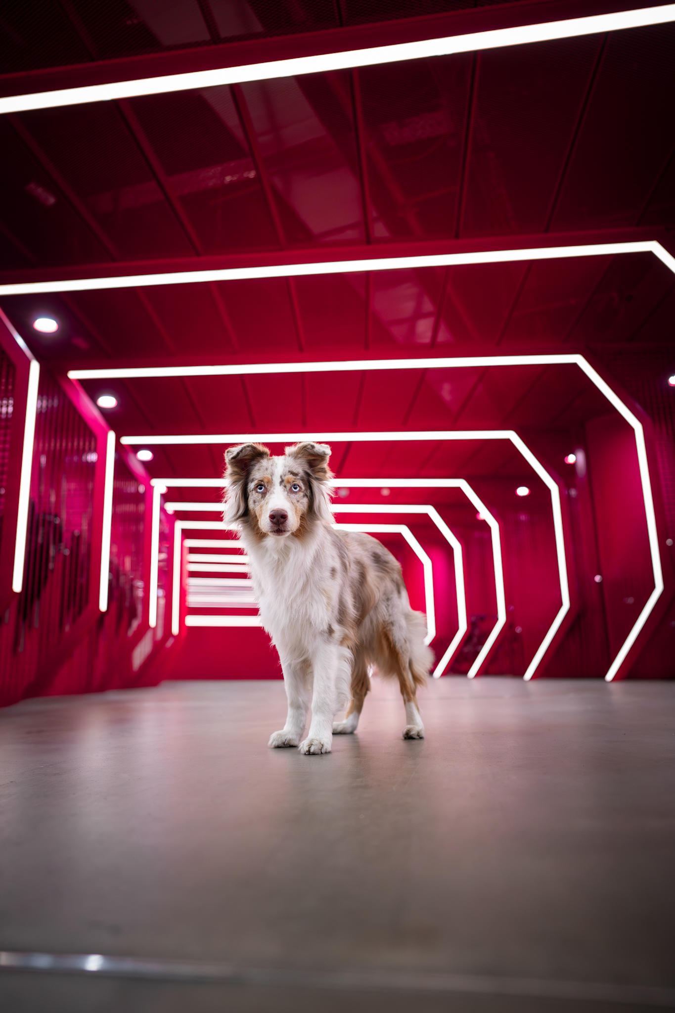 © Jasmin Nitezki, Germany, entry, Single Image competition, Animal Portraits, Sony World Photography Awards 2027