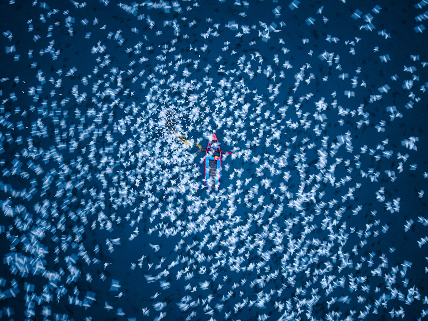 © Arun Kumar Nalimela, India, entry, Open Competition, Travel, 2026 Sony World Photography Awards