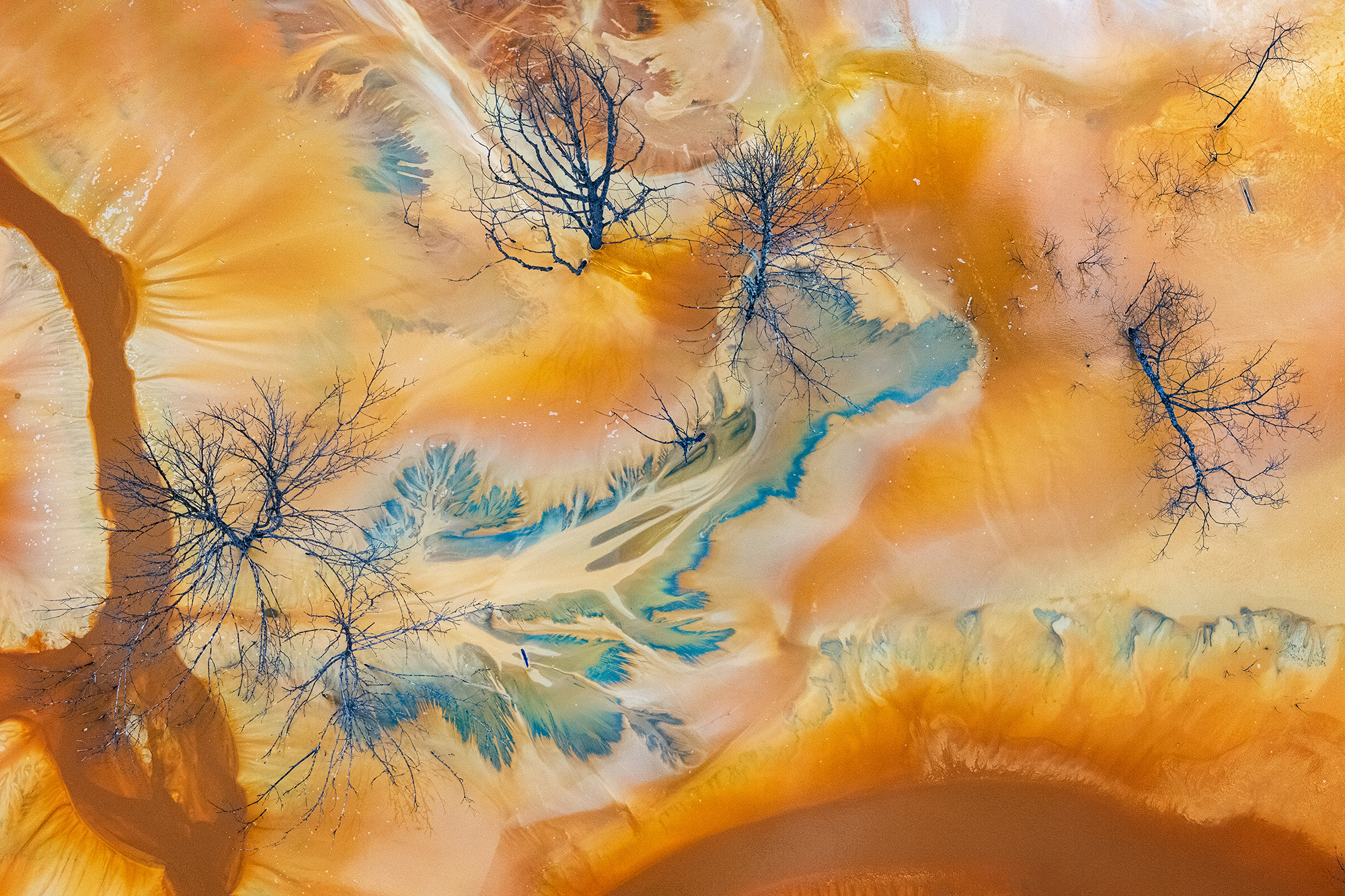 © Vlad Paulet, Romania, entry, Open Competition, Landscape, 2026 Sony World Photography Awards