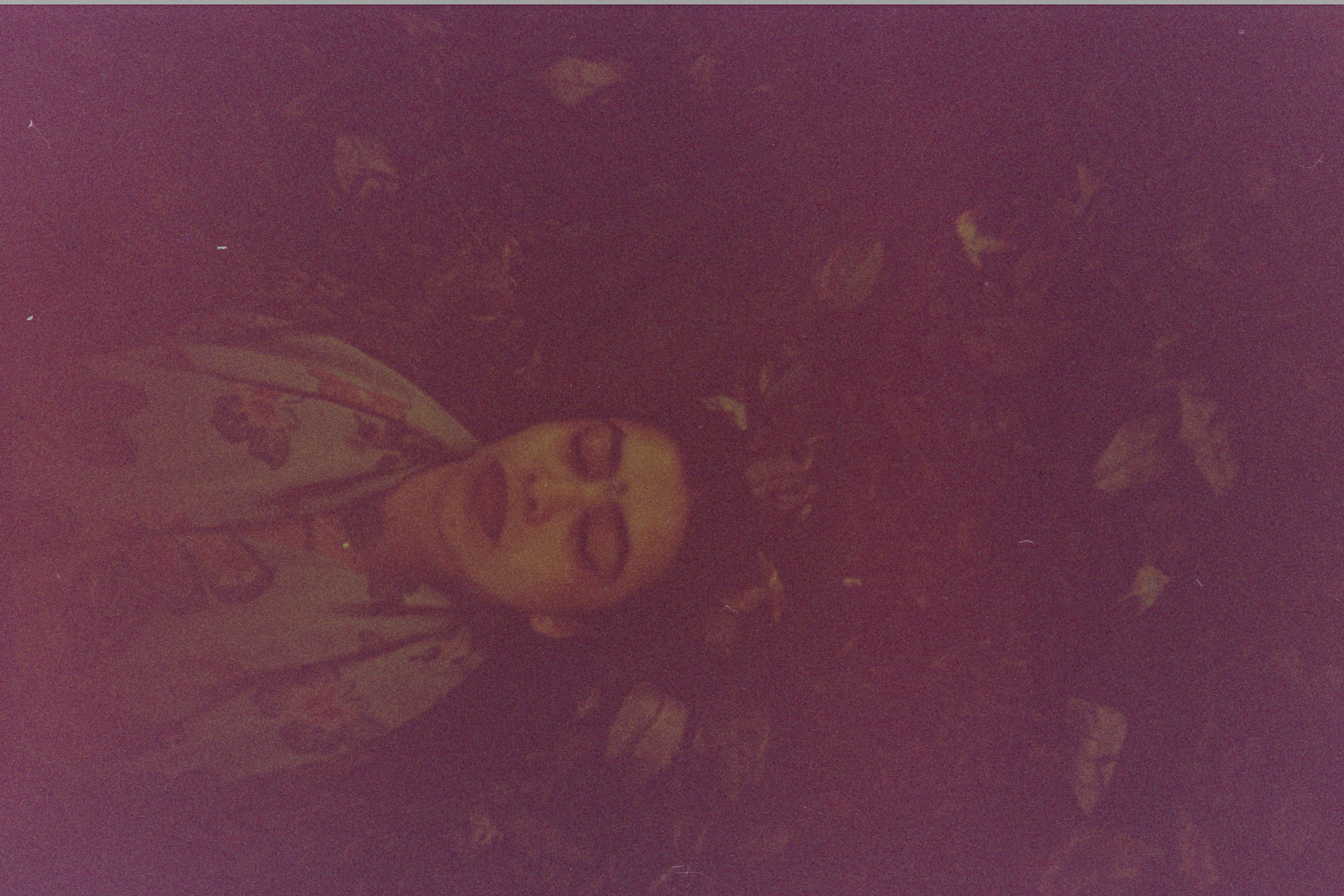 © María Camila Rodriguez Gil, Colombia, entry, Single Image competition, Portraiture, Sony World Photography Awards 2027