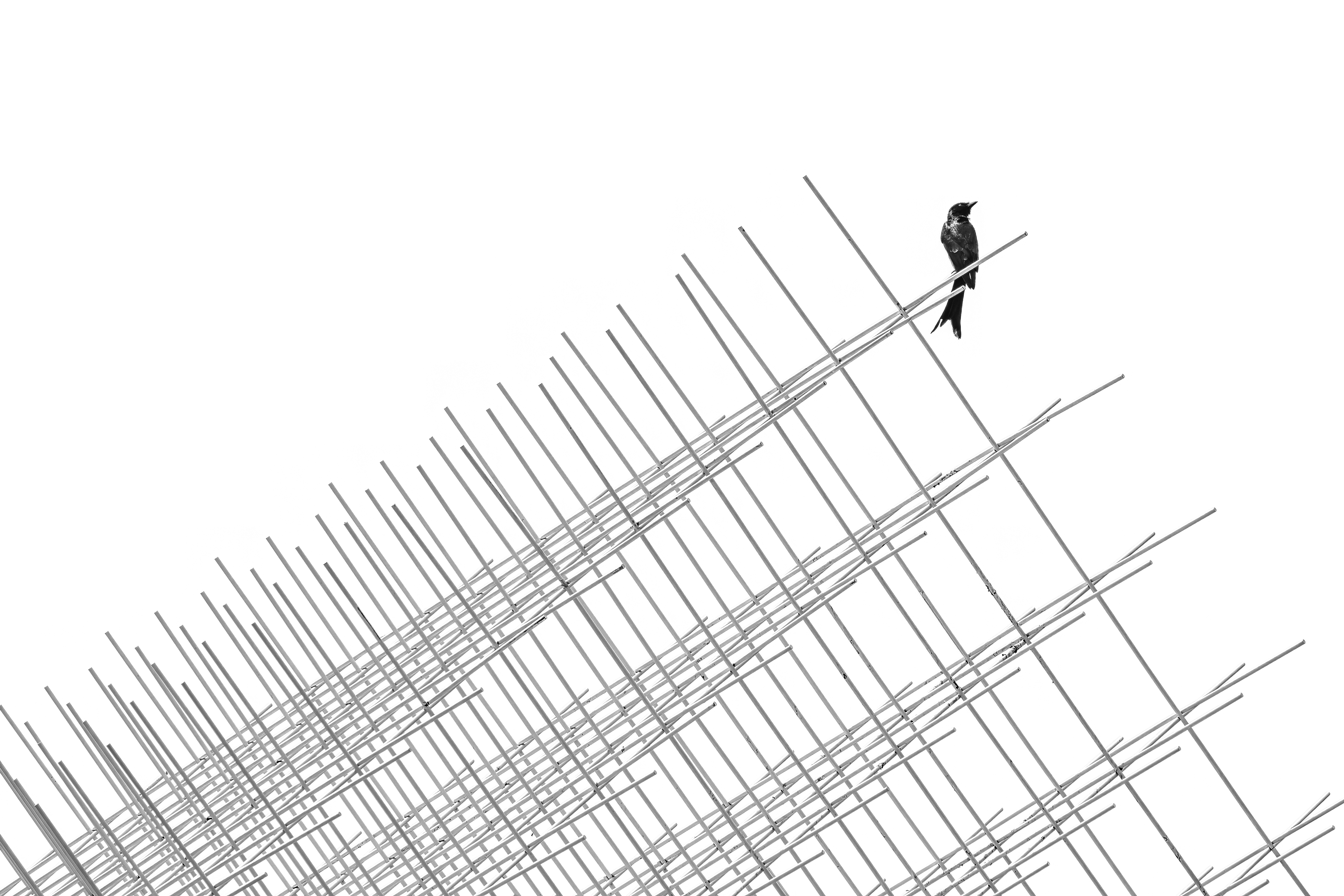 © KuoLun Hsu, Taiwan, entry, Single Image competition, Creative, Sony World Photography Awards 2027