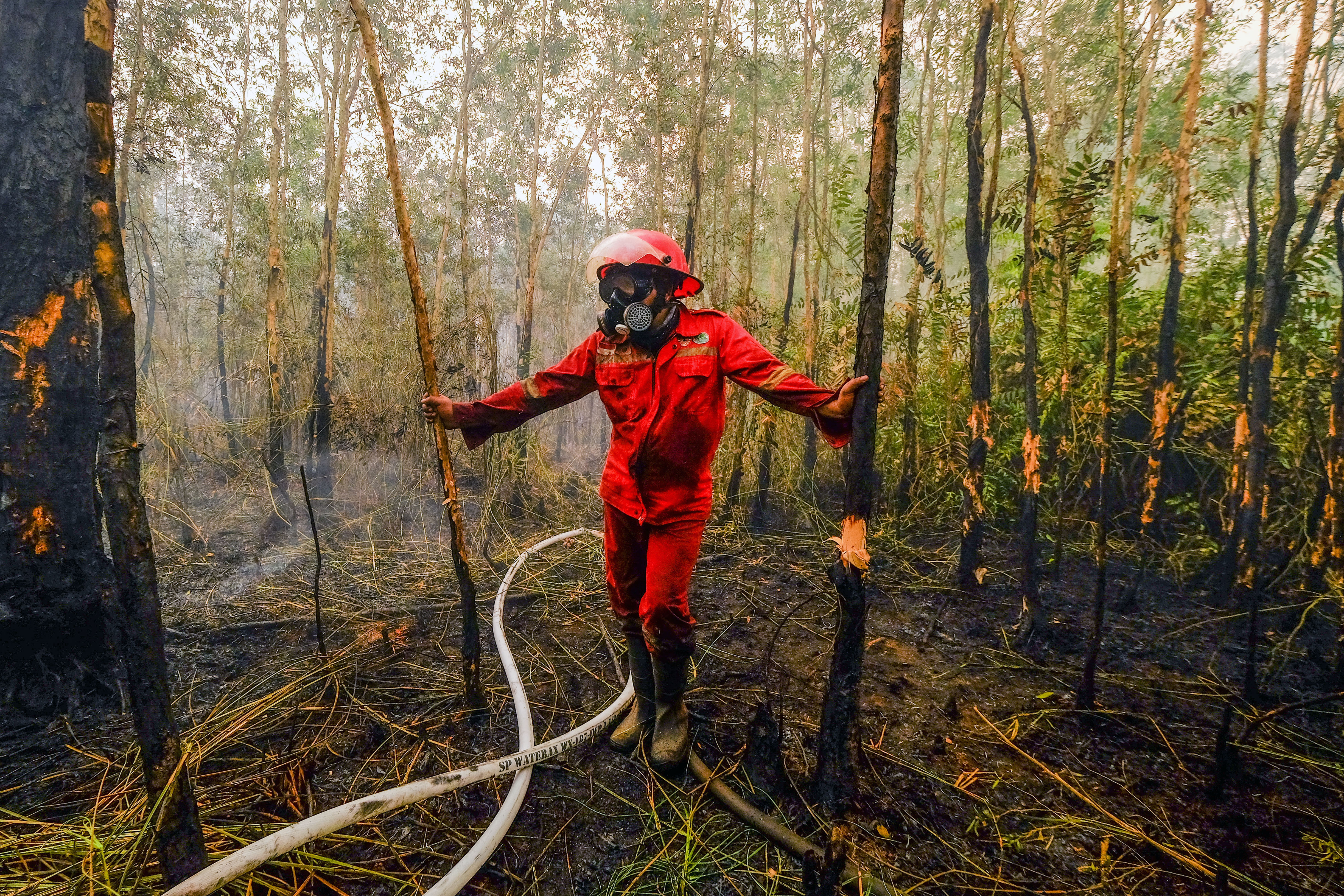 © Harry Sanjaya Putra, Indonesia, entry, Single Image competition, Portraiture, Sony World Photography Awards 2027.