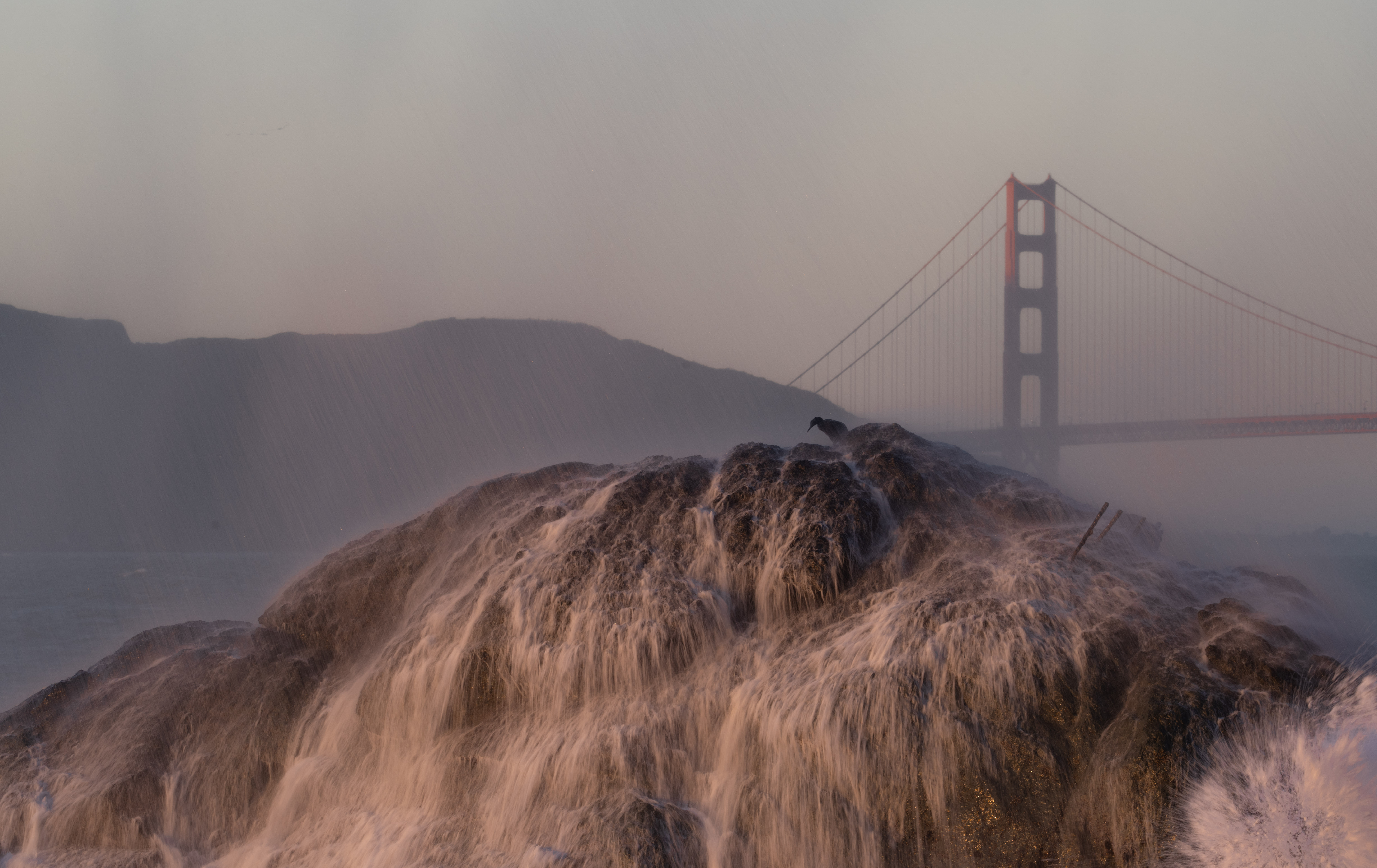 © Kevin Zhou, United States, entry, Single Image competition, Natural World & Wildlife, Sony World Photography Awards 2027