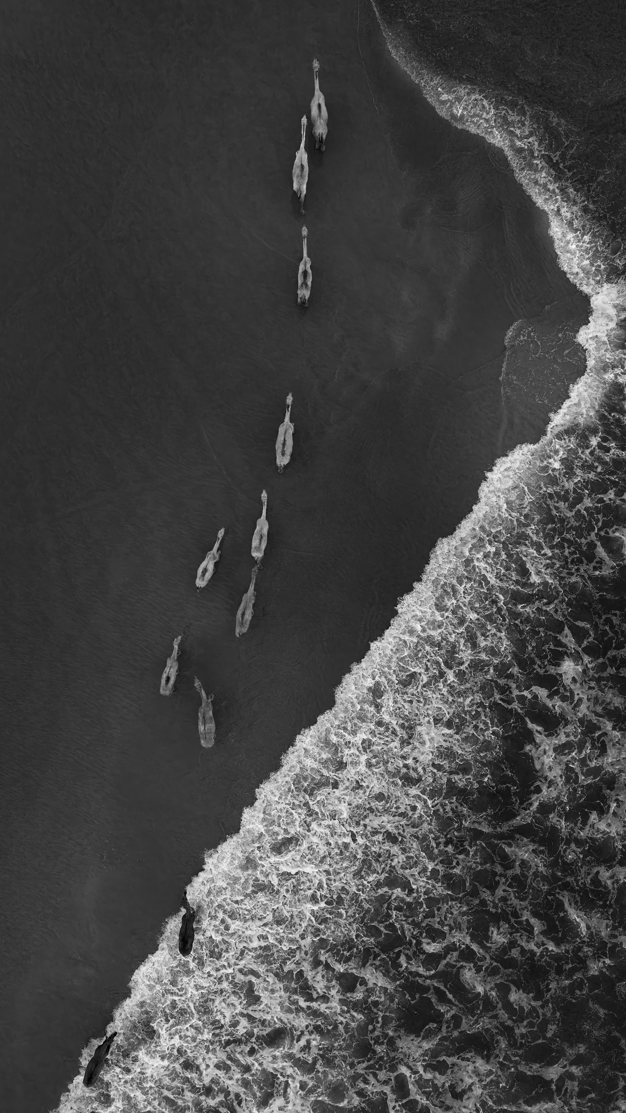 © Maitham AlMisry, Kuwait, entry, Single Image competition, Natural World & Wildlife, Sony World Photography Awards 2027