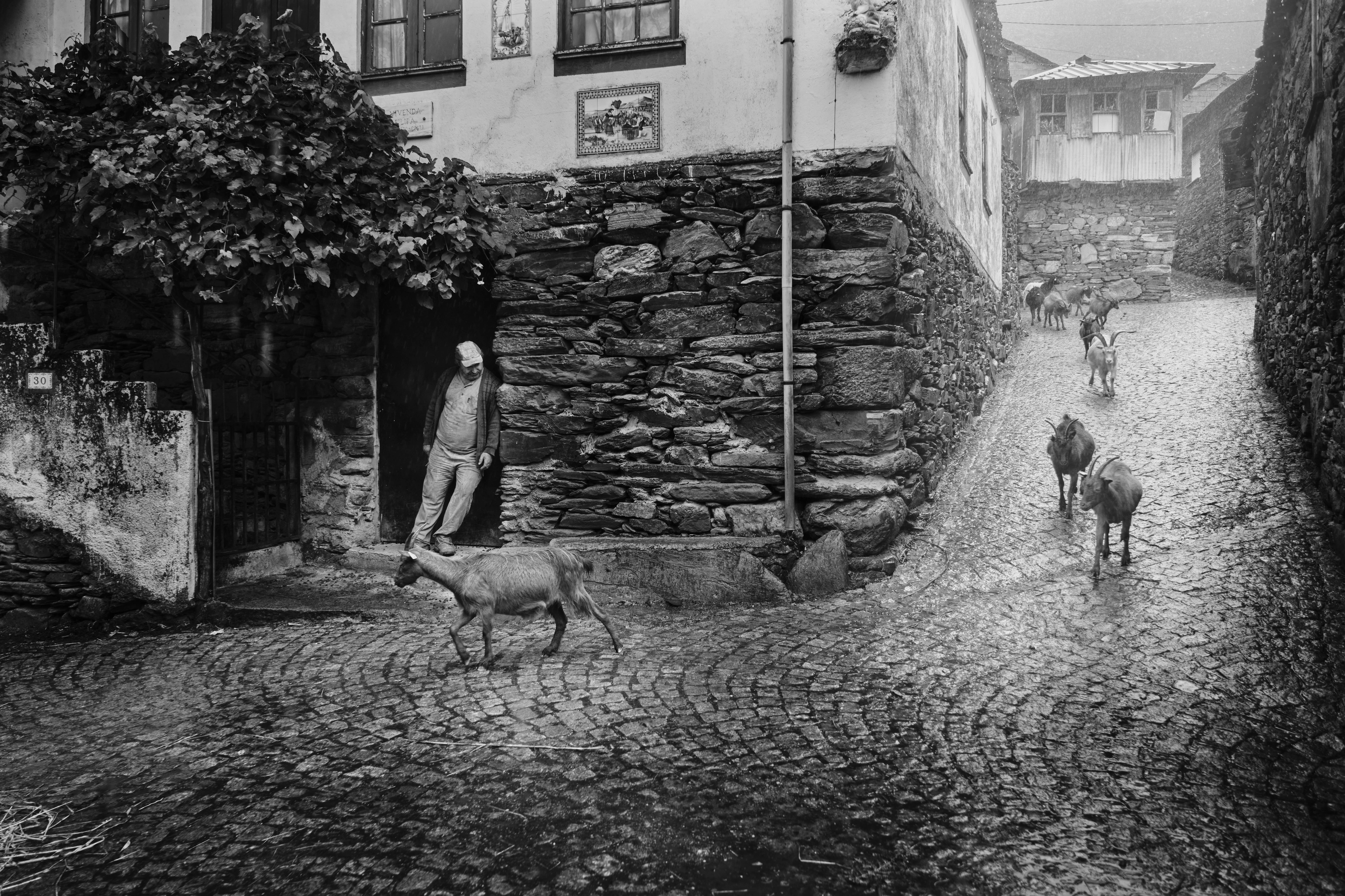 © Filipe Miranda, Portugal, entry, Single Image competition, Lifestyle, Sony World Photography Awards 2027