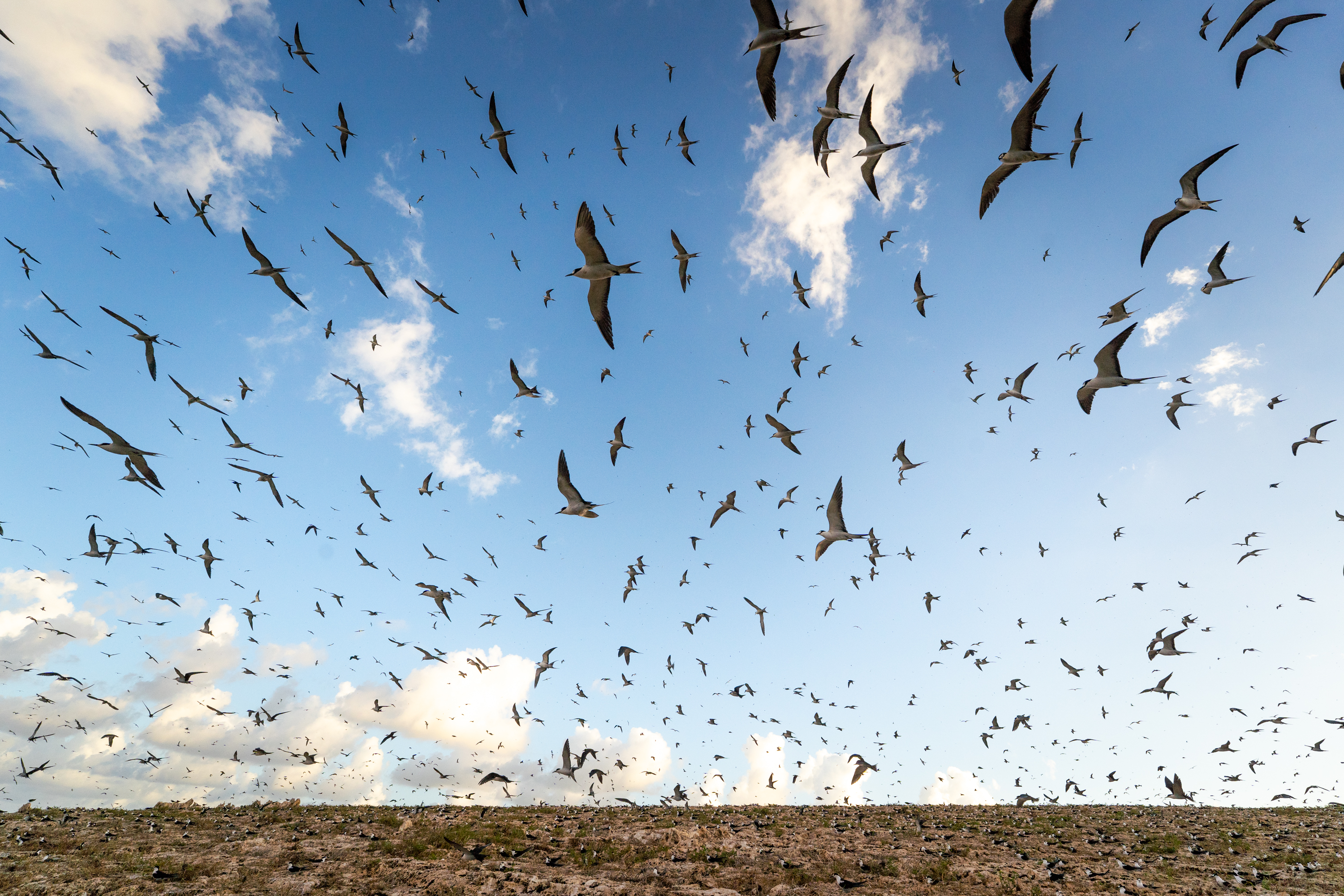 © Lauric Thiault, France, entry, Single Image competition, Motion, Sony World Photography Awards 2027