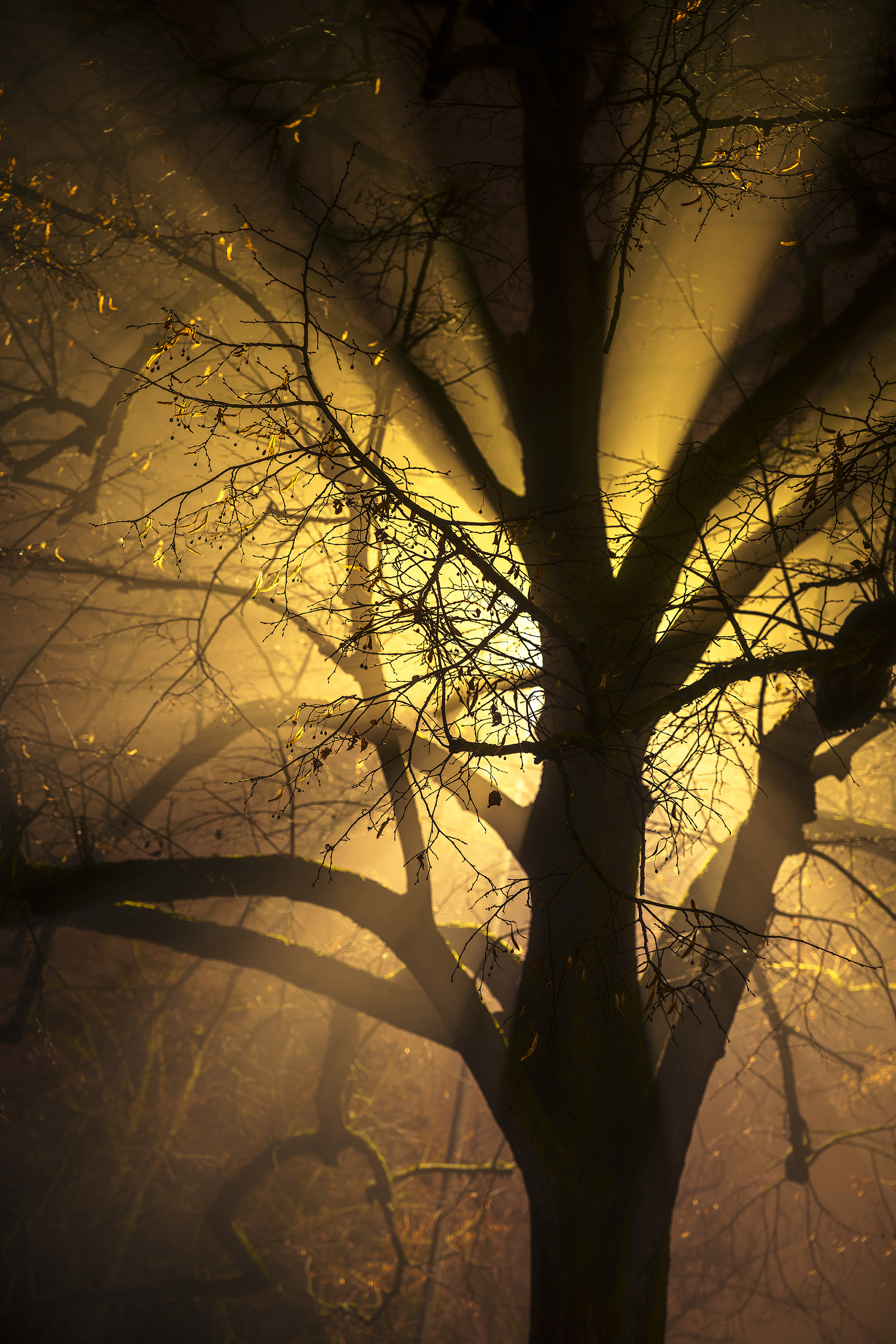 © Joao Yordanov Serralheiro, Portugal, entry, Single Image competition, Landscape, Sony World Photography Awards 2027