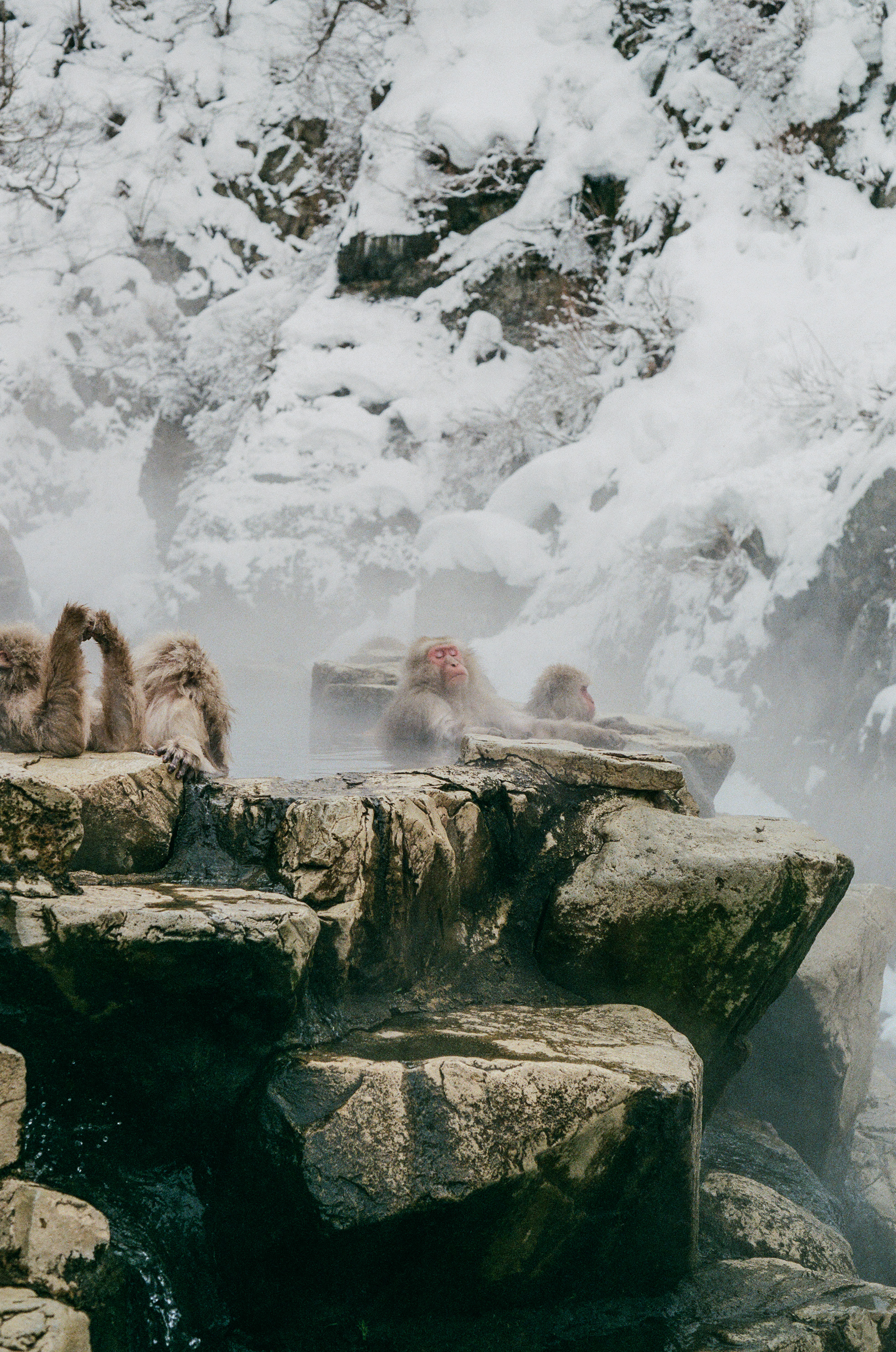 © Daryl Pong, Singapore, entry, Open Competition, Natural World & Wildlife, 2026 Sony World Photography Awards