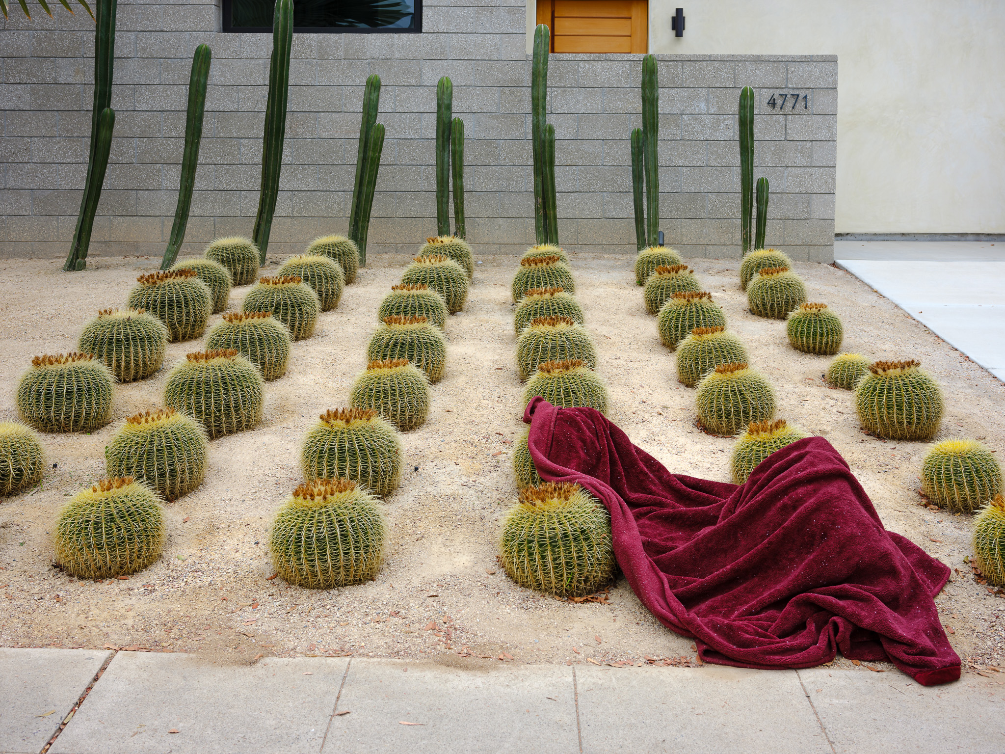 © John Barnard, United States, entry, Open Competition, Object, 2026 Sony World Photography Awards