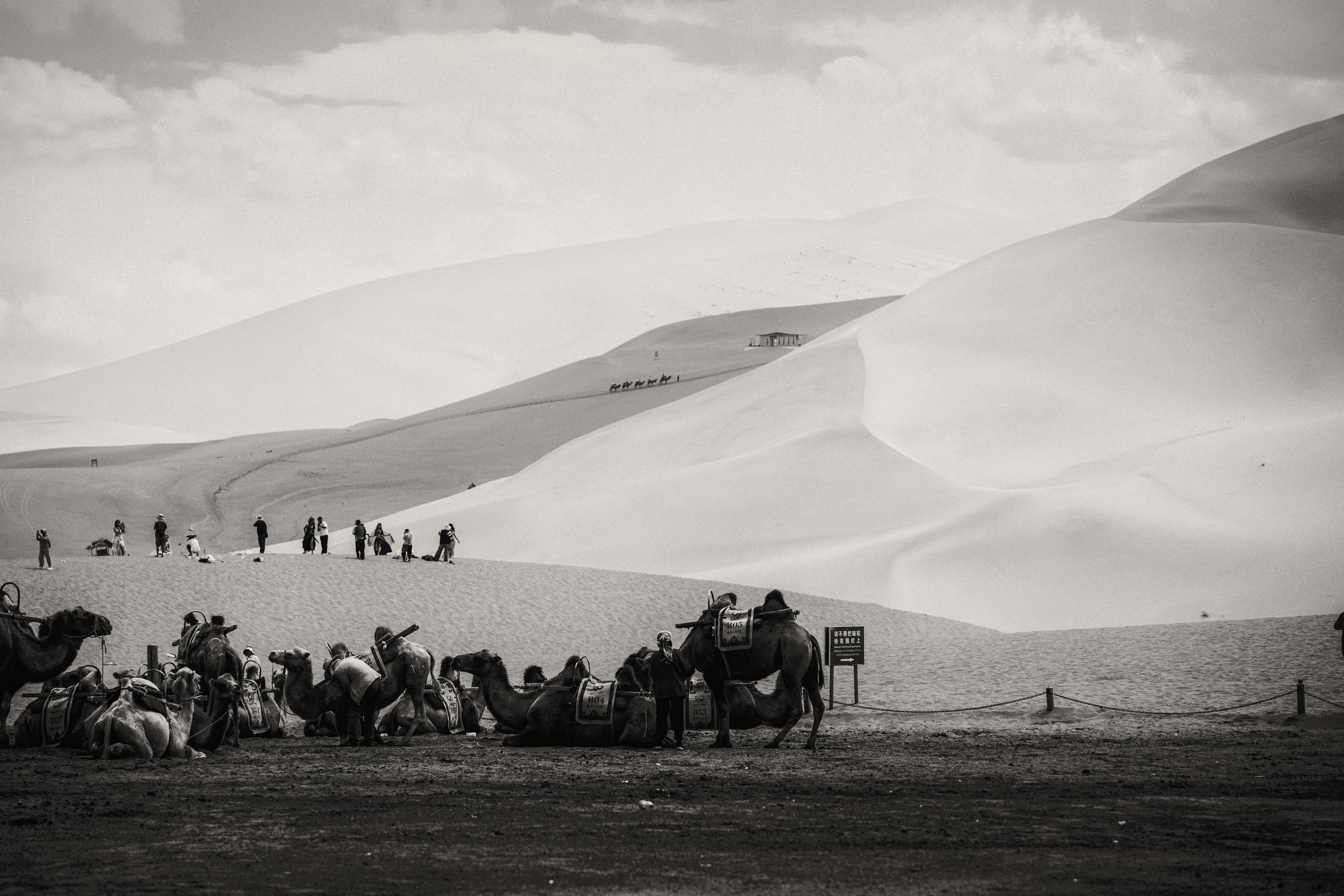 © 春晖 马, China Mainland, entry, Open Competition, Travel, 2026 Sony World Photography Awards