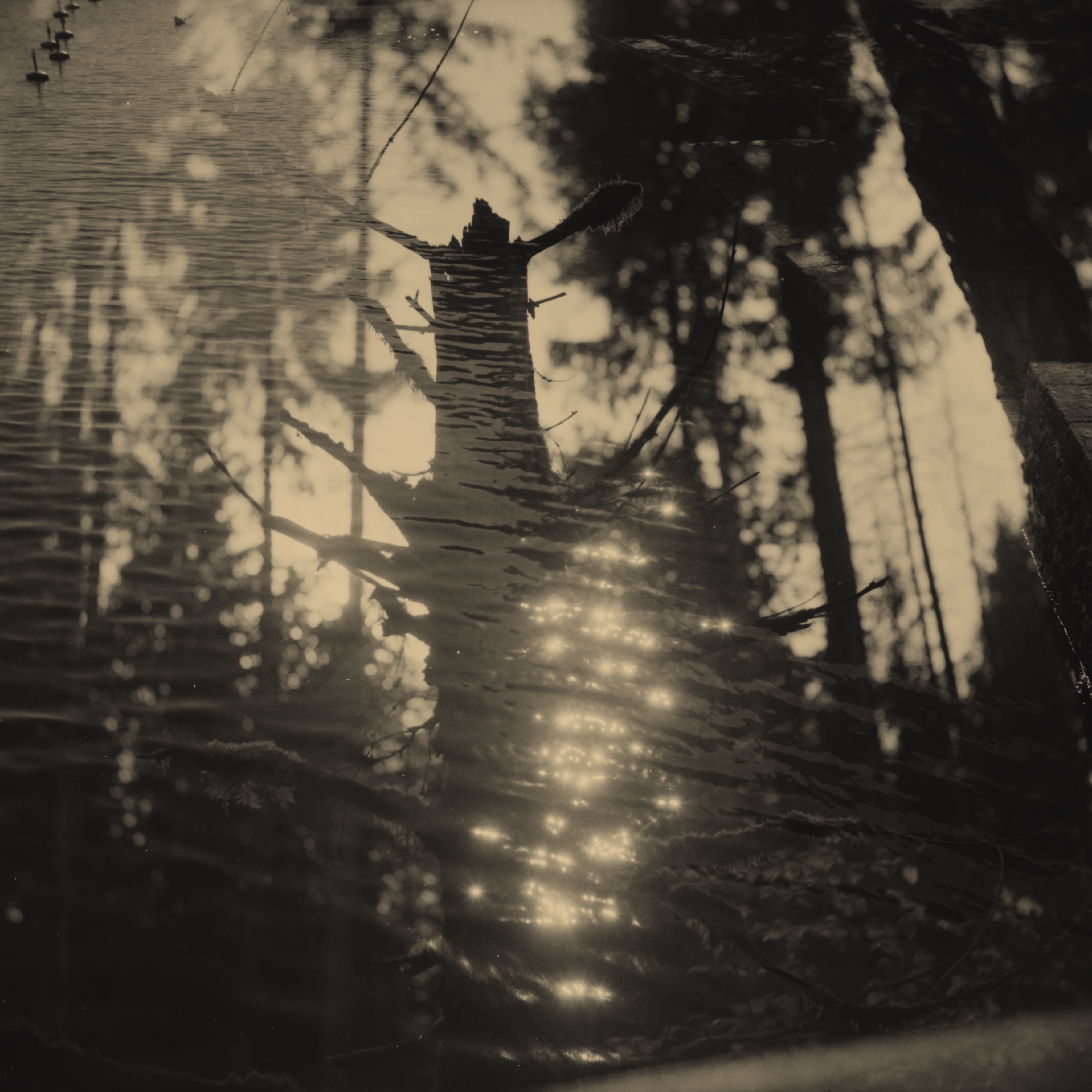 © Nathalie Ericson, Sweden, entry, Open Competition, Creative, 2026 Sony World Photography Awards