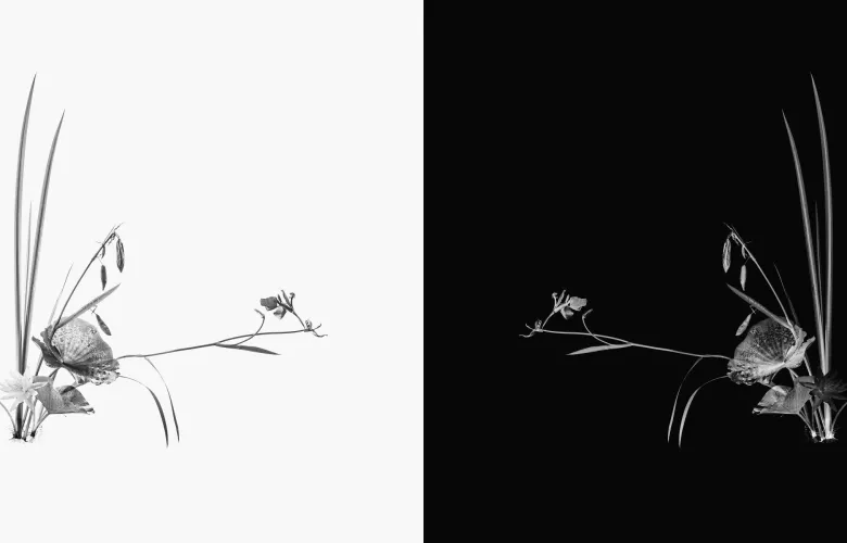 © Keiichiro Muramatsu