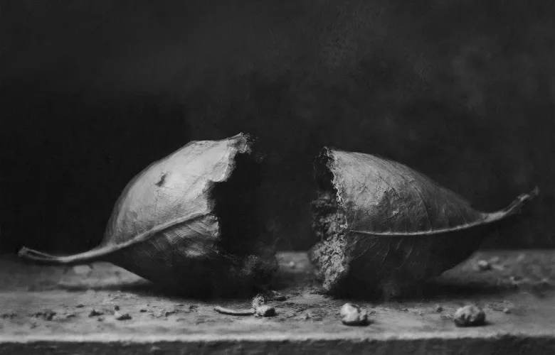 © Pierre-Yves Cruaud, France, entry, Open Competition, Creative, 2026 Sony World Photography Awards