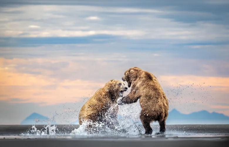 © Harry Skeggs, United Kingdom, entry, Single Image competition, Natural World & Wildlife, Sony World Photography Awards 2027