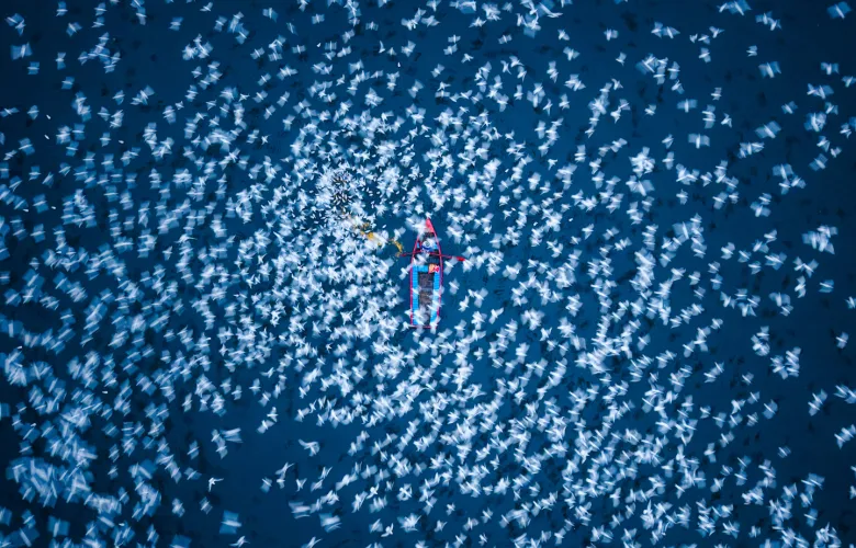 © Arun Kumar Nalimela, India, entry, Open Competition, Travel, 2026 Sony World Photography Awards