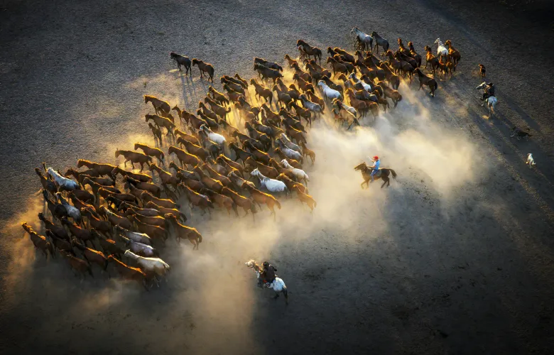 © F.Dilek Yurdakul, Türkiye, entry, Single Image competition, Motion, Sony World Photography Awards 2027