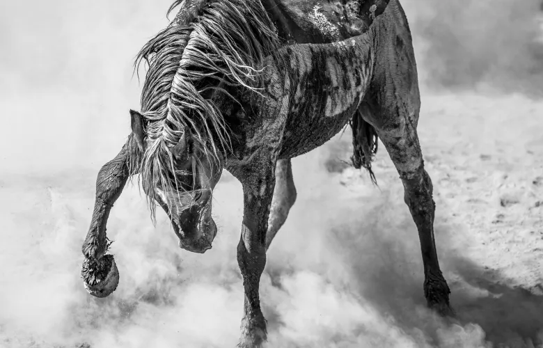 fa2f281bb27de74a2957aed1f076e850.LOW%20RES