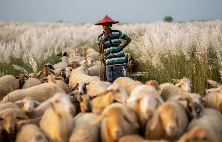 © Shakib Hossain, Bangladesh, entry, Single Image competition, Lifestyle, Sony World Photography Awards 2027