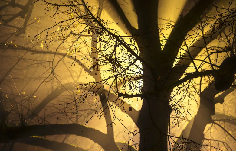 © Joao Yordanov Serralheiro, Portugal, entry, Single Image competition, Landscape, Sony World Photography Awards 2027