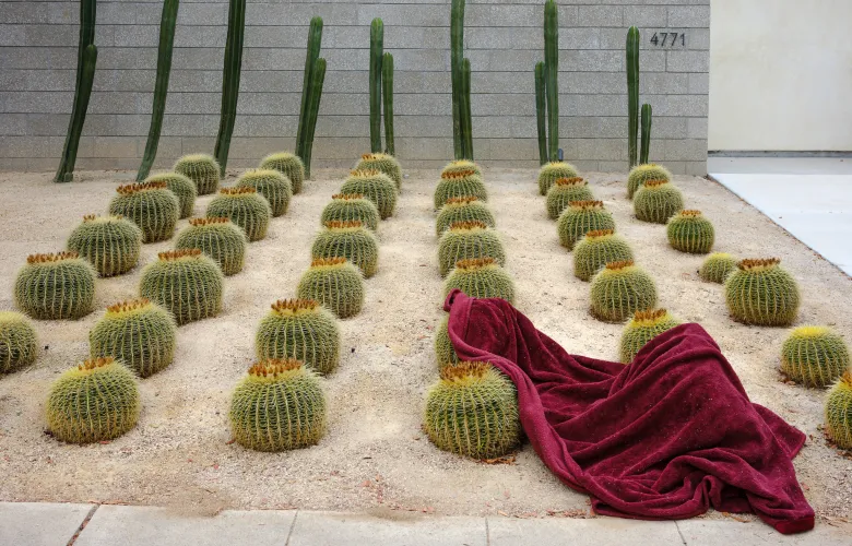 © John Barnard, United States, entry, Open Competition, Object, 2026 Sony World Photography Awards