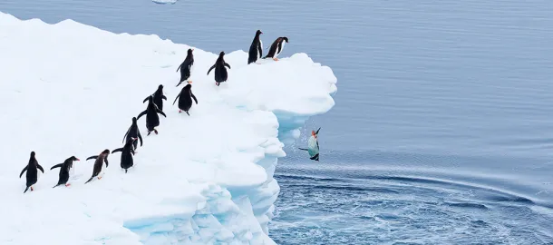 Motion