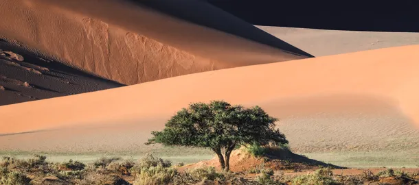 Paisagem