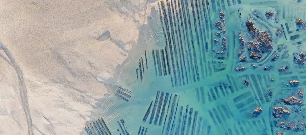 风景