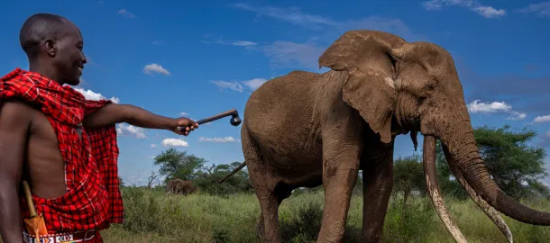Mundo Natural y Savaje