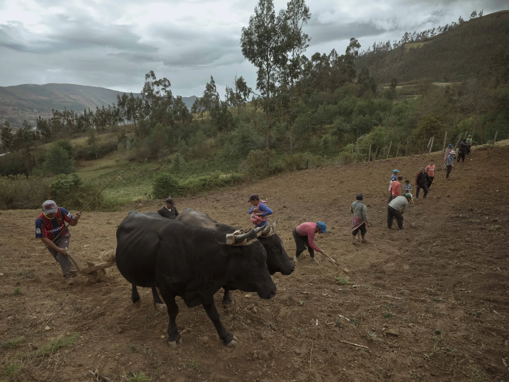 Latin America Professional Award: first look | World Photography