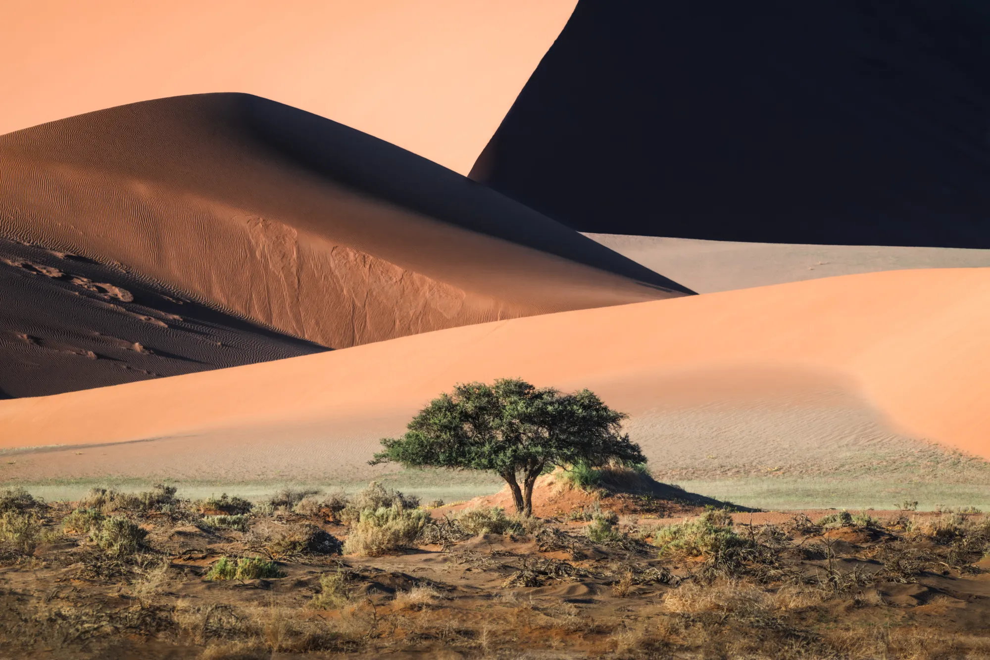 Landscape | World Photography Organisation