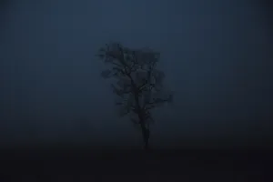 © Cristobal Olivares , Chile, Shortlist, Latin America Professional Awards, 2020 Sony World Photography Awards