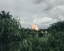 © Robin Hinsch, Germany, 1st Place, Professional competition, Environment , 2020 Sony World Photography Awards