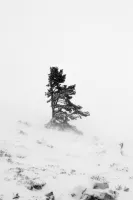 © Julian Fandino, Colombia, Shortlist, Latin America Professional Award, 2020 Sony World Photography Awards